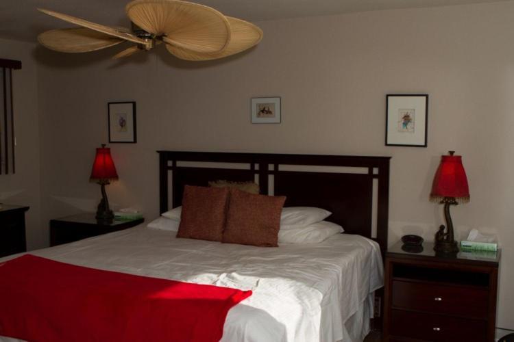 Sea Mountain Nude Resort & Spa Hotel - Adults Only เดเซิร์ทฮอตสปริงส์ ภายนอก รูปภาพ
